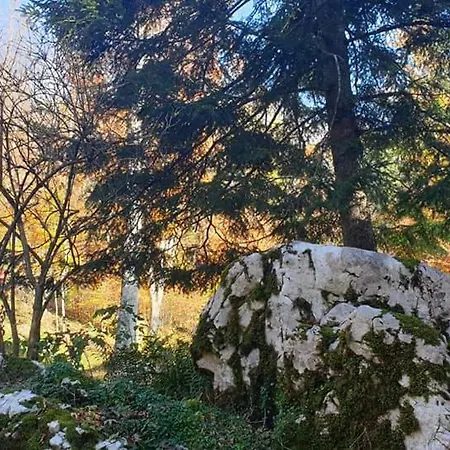 Sumska Kuca Chalet *