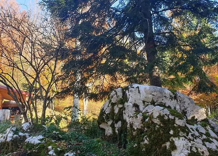 Sumska Kuca 木屋 *