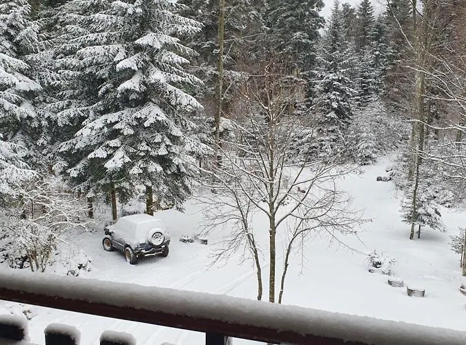 Sumska Kuca * Bribir (Primorje-Gorski Kotar)